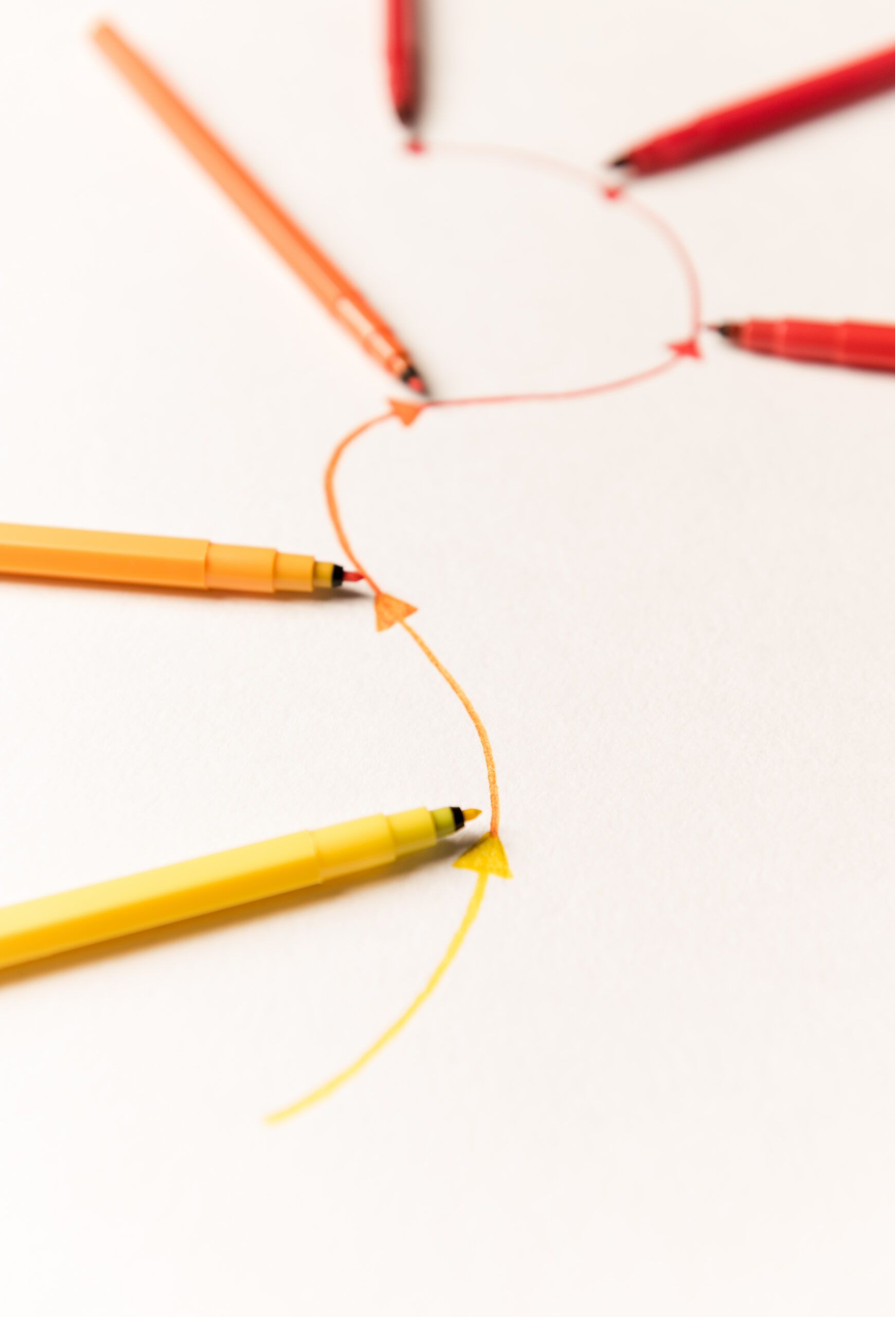 Provide ongoing technical support.